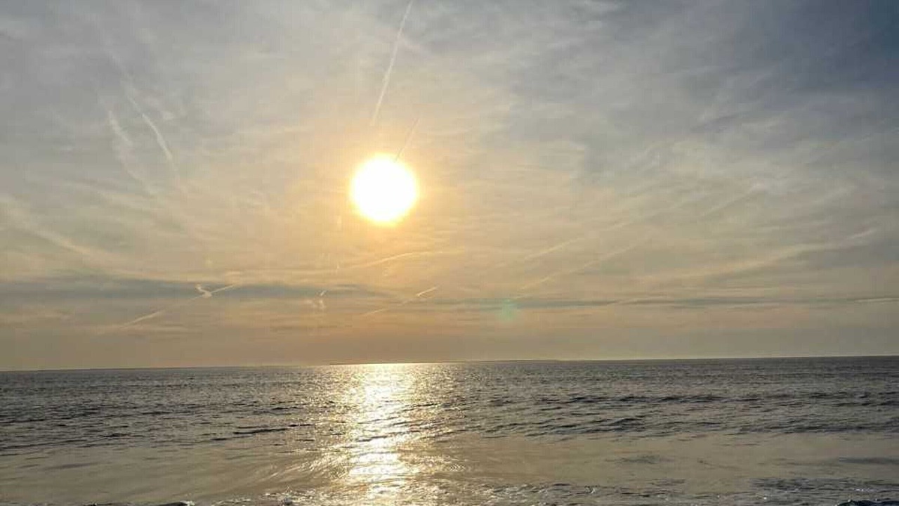 Photo of Others in LʼAiguillon-sur-Mer