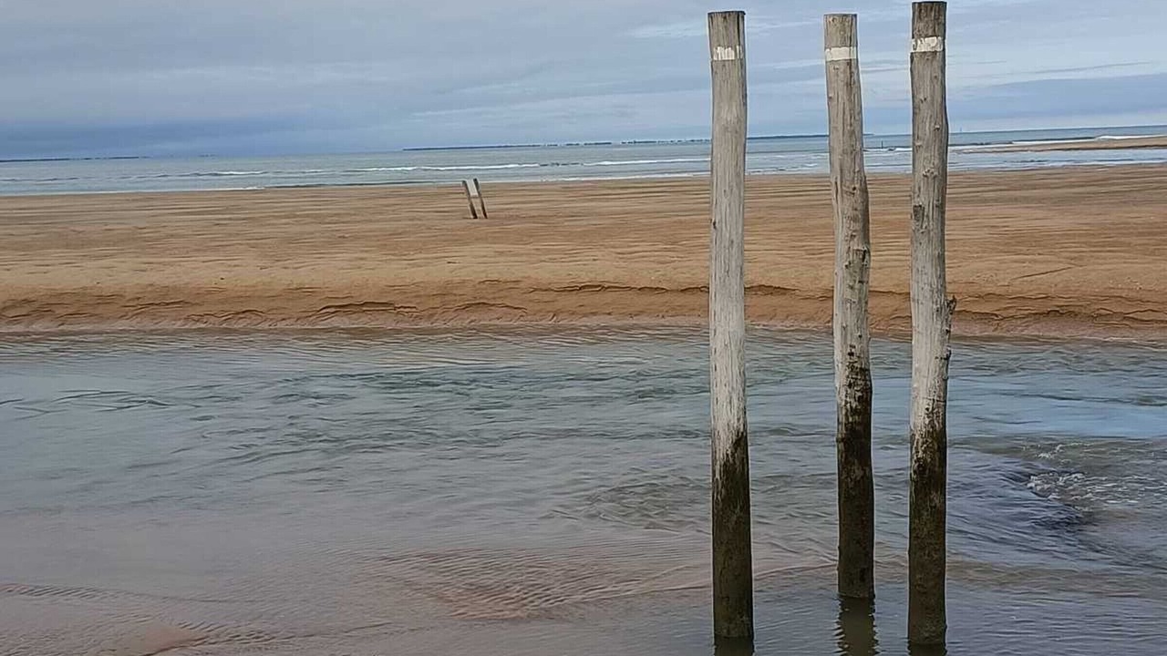 Photo of Others in LʼAiguillon-sur-Mer