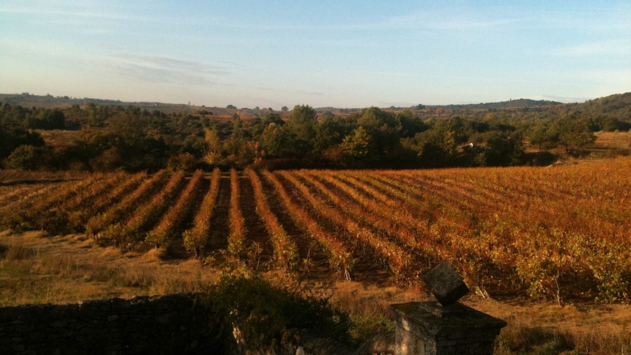 Photo of Outdoor in Saint-Jean-de-Maruejols-et-Avejan