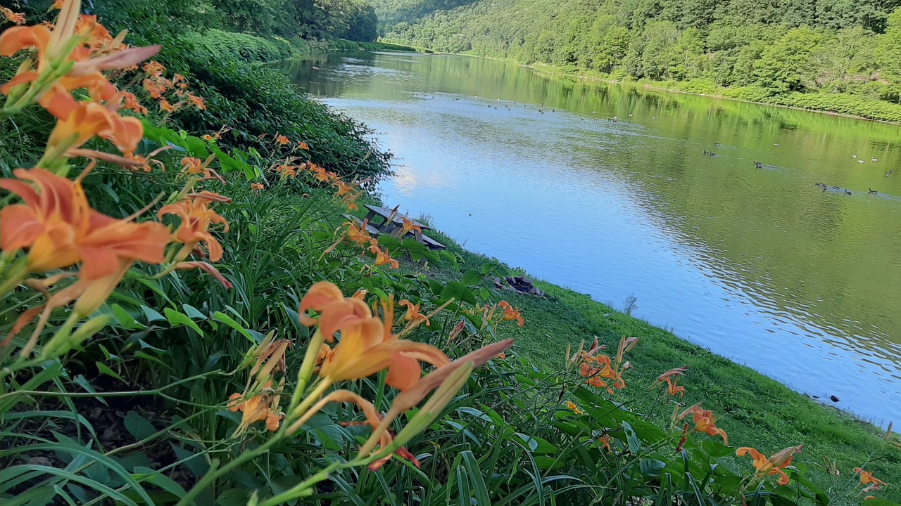 Photo of Outdoor in Equinunk