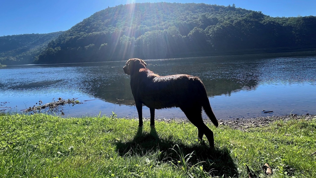 Photo of Others in Equinunk