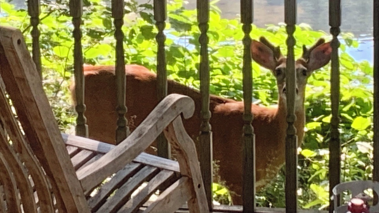 Photo of Outdoor in Equinunk