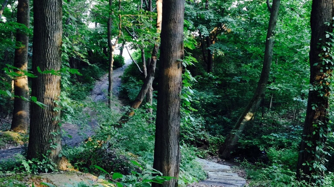 Photo of Others in Westfield