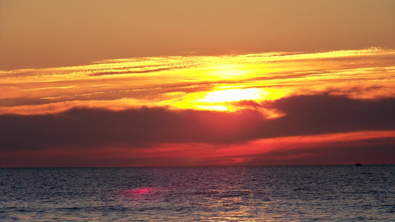 Photo of Others in Westfield