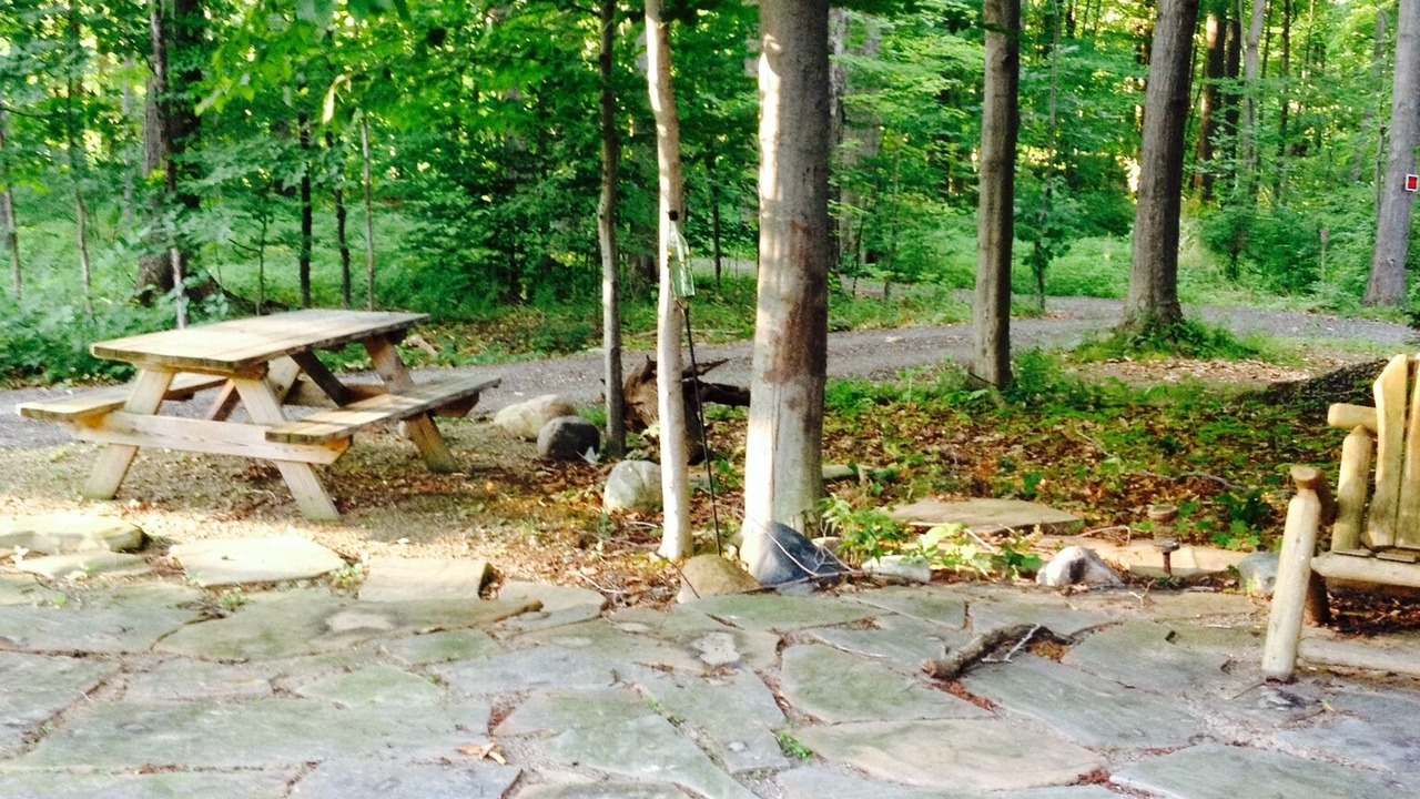 Photo of Others in Westfield