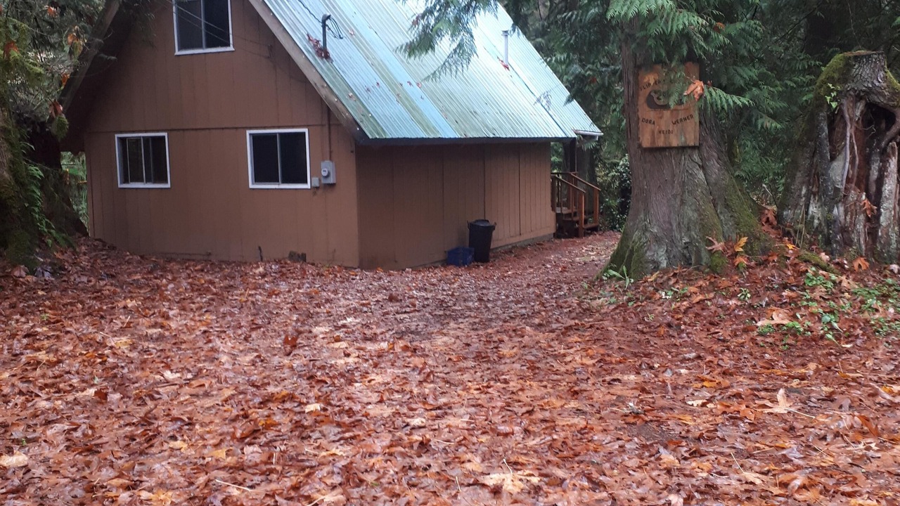 Photo of Outdoor in Maple Falls