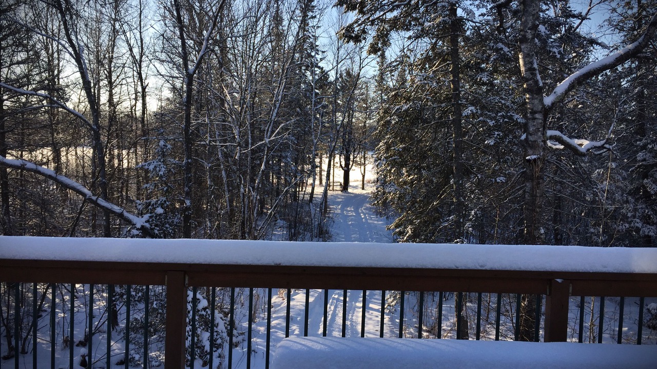 Photo of Outdoor in North Carlton