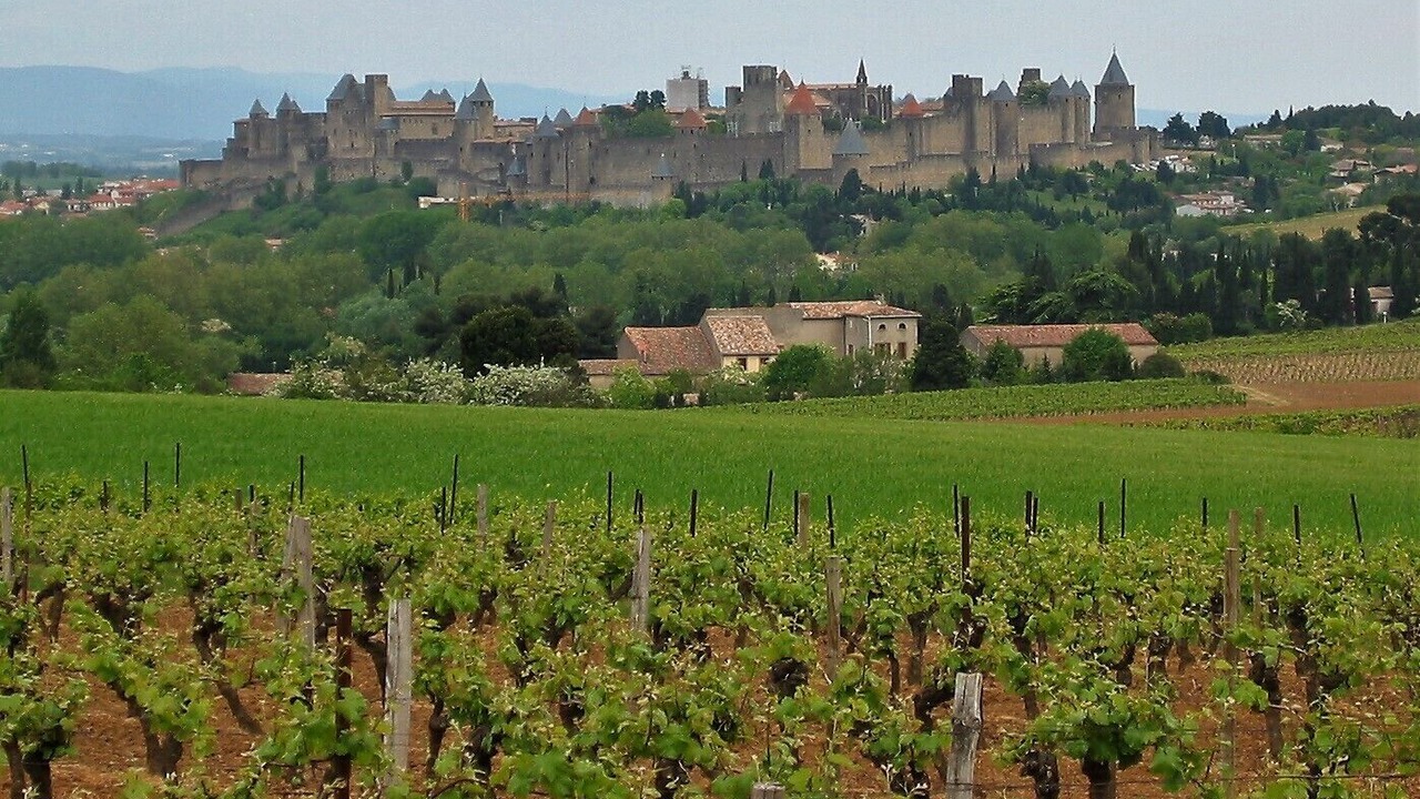 Photo of Others in Douzens