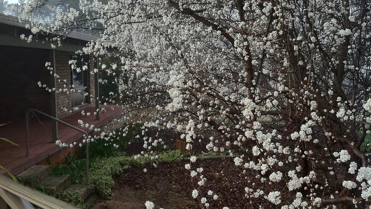 Photo of Others in Eurunderee