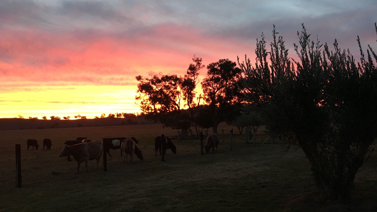 Photo of Others in Eurunderee