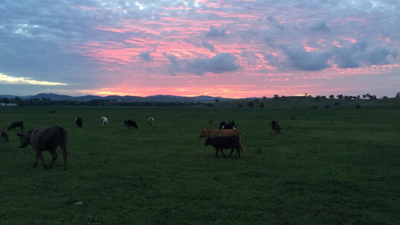 Photo of Others in Eurunderee