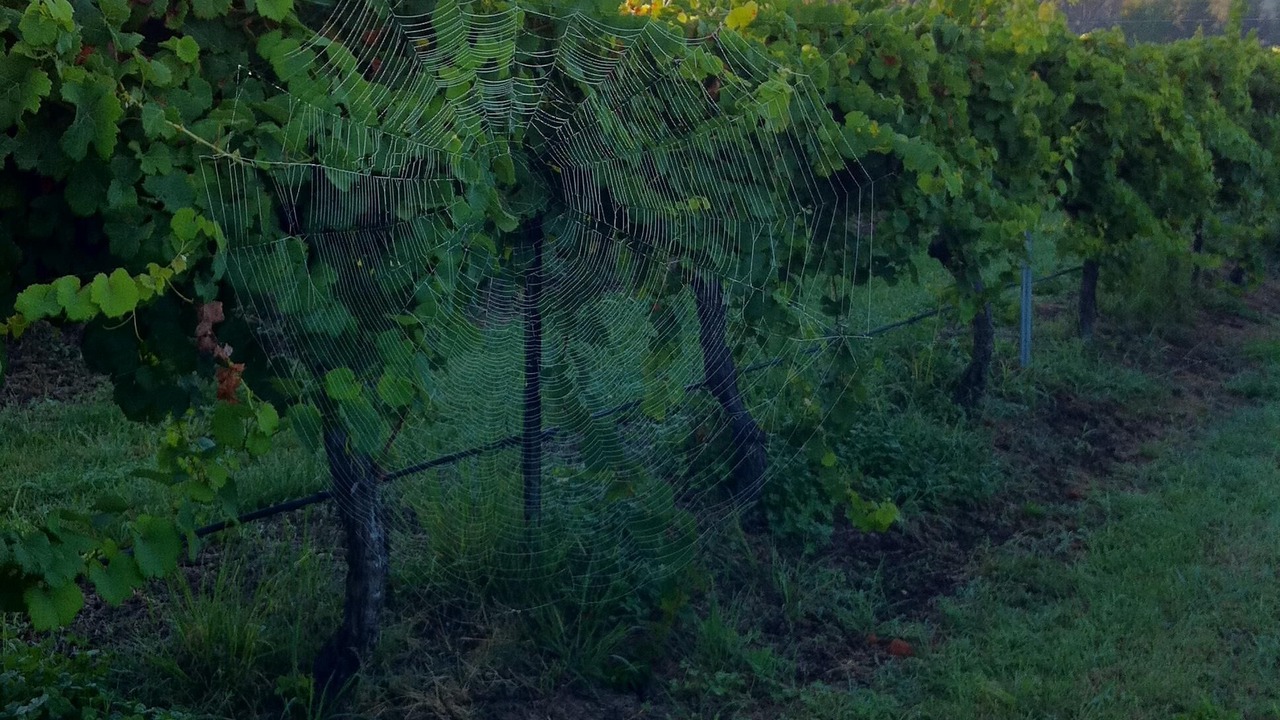 Photo of Others in Eurunderee