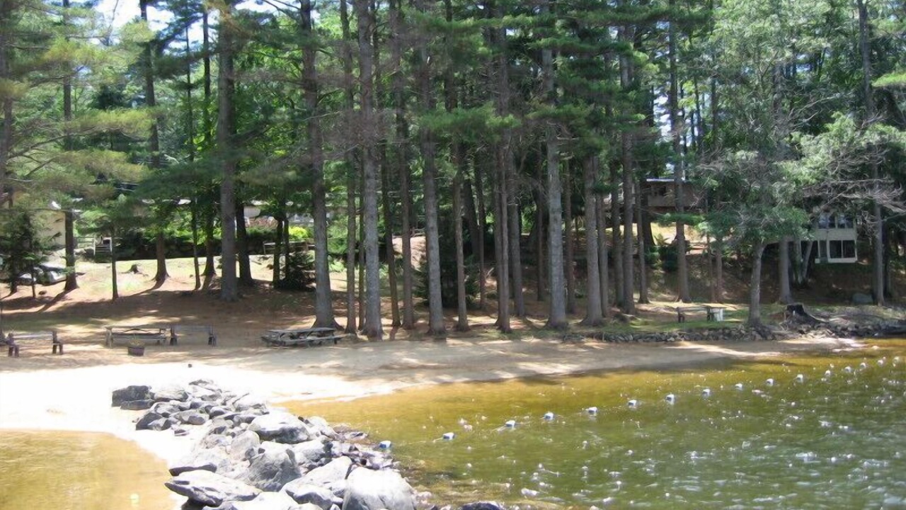 Photo of Others in Hadley