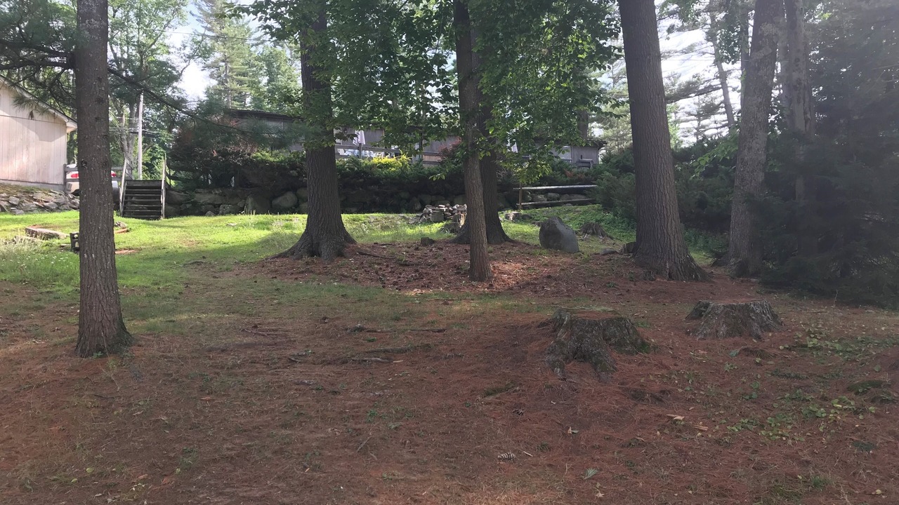 Photo of Others in Hadley