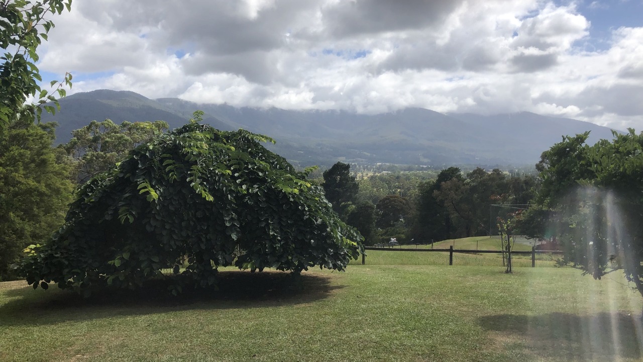 Photo of Outdoor in Yarra Junction