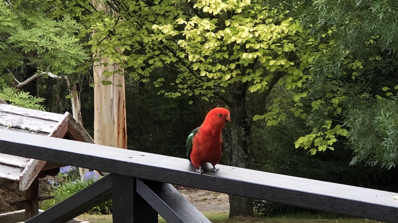 Photo of Outdoor in Yarra Junction
