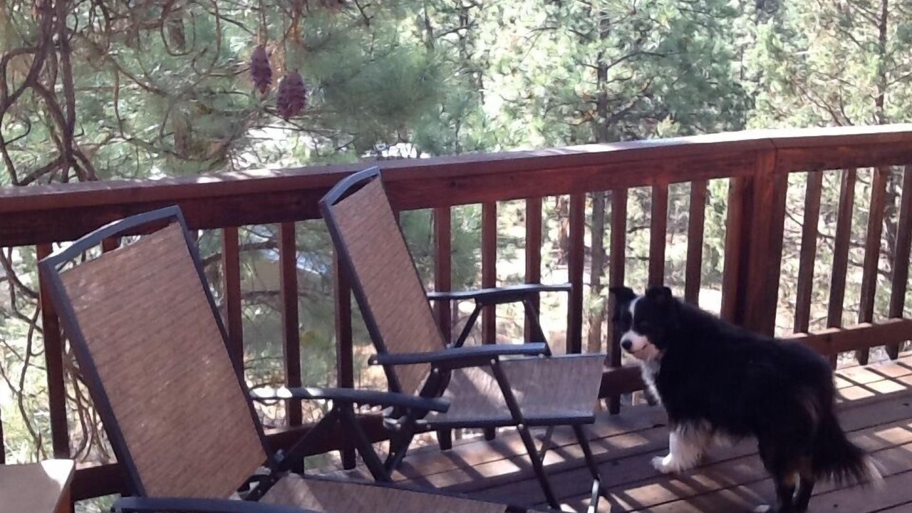 Photo of Others in Ruidoso