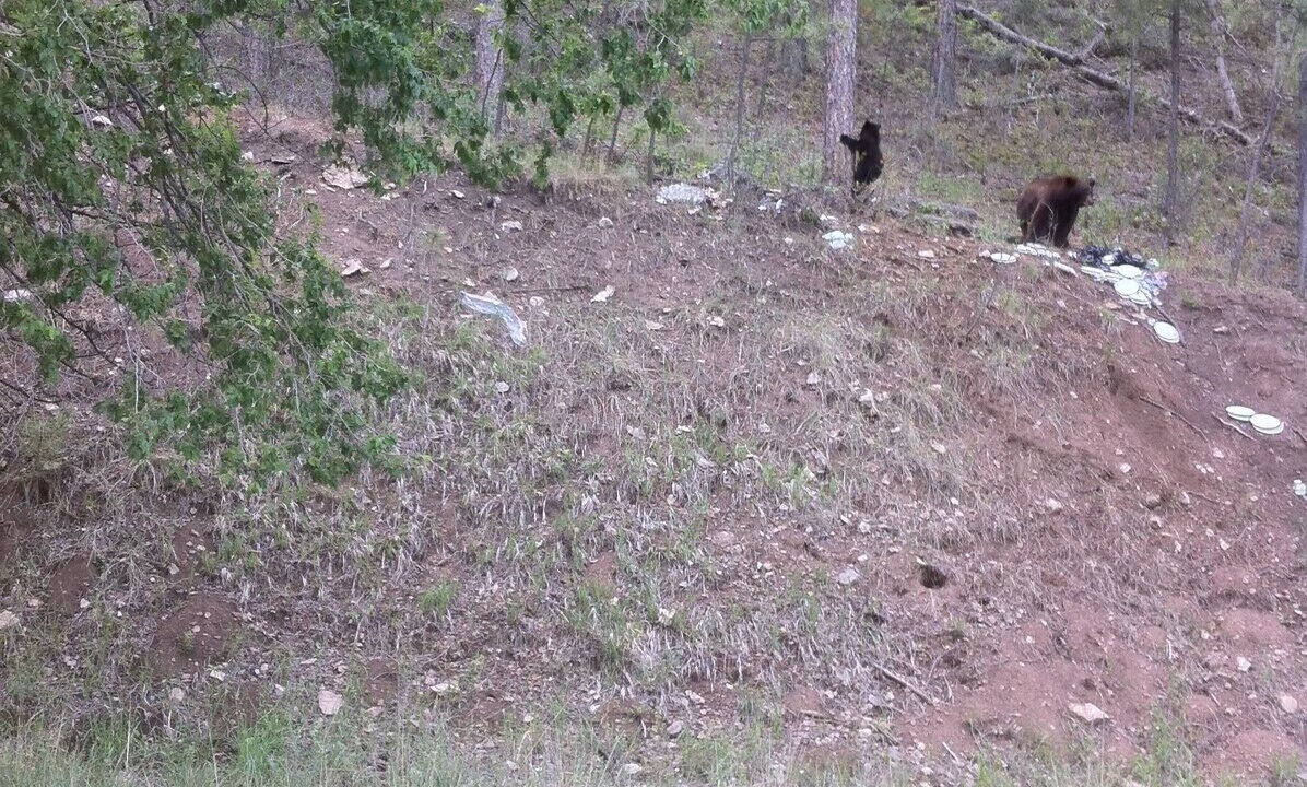 Photo of Others in Ruidoso