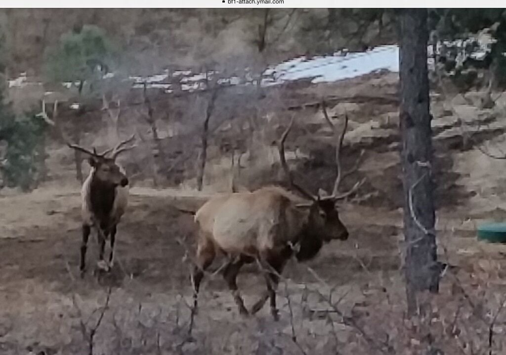Photo of Others in Ruidoso