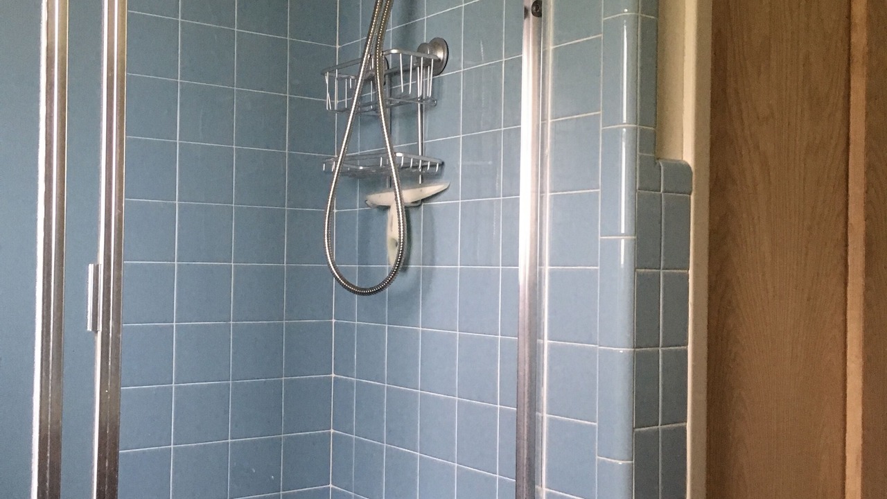 Photo of Others in Tarpon Springs