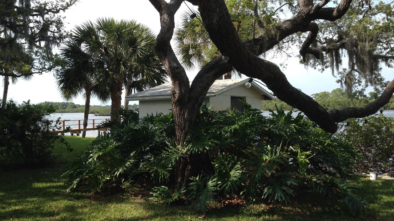 Photo of Others in Tarpon Springs