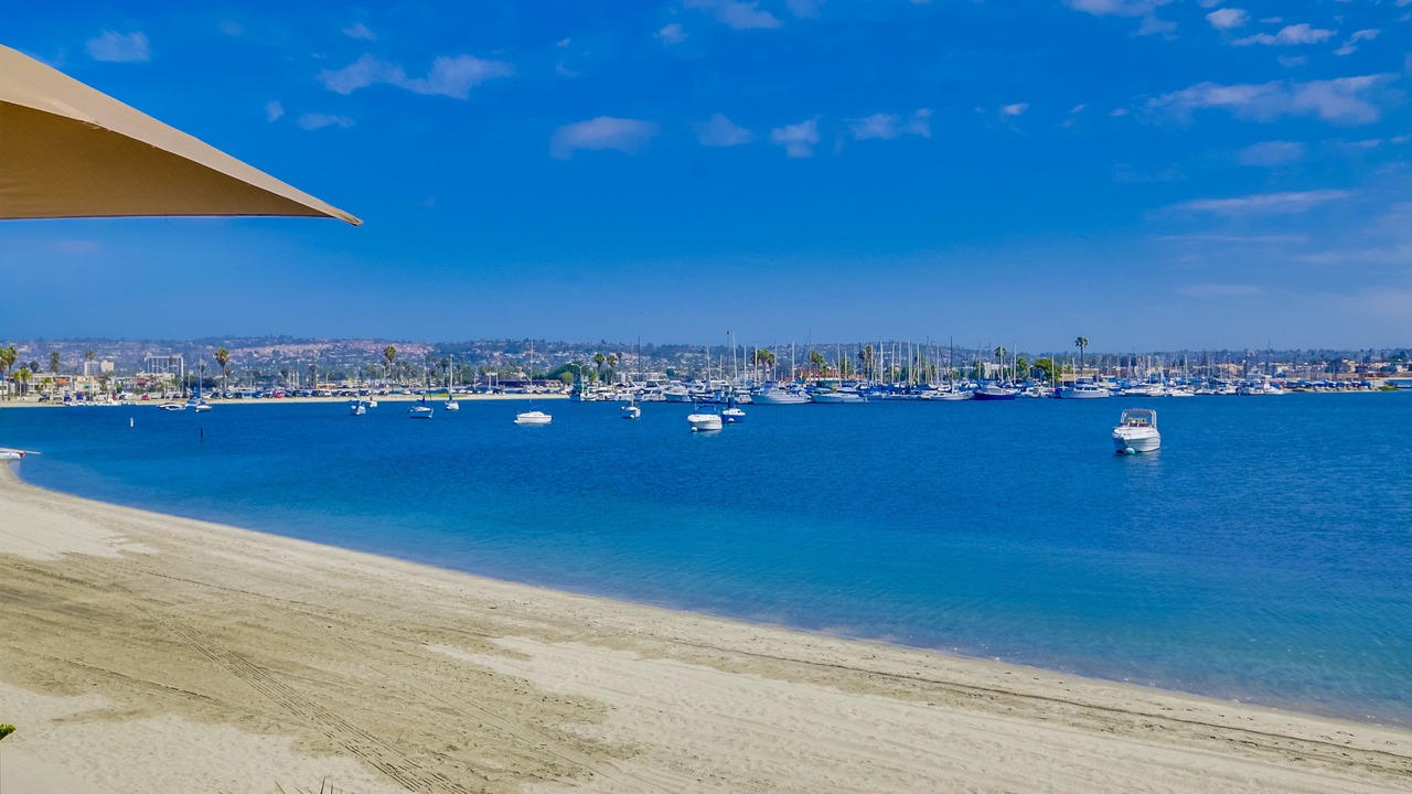 Photo of Others in Central Mission Beach