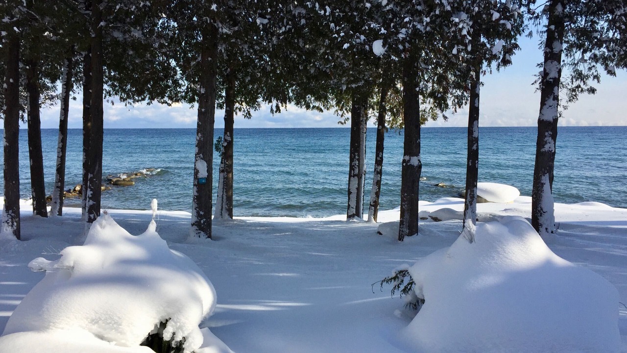 Photo of Outdoor in Meaford