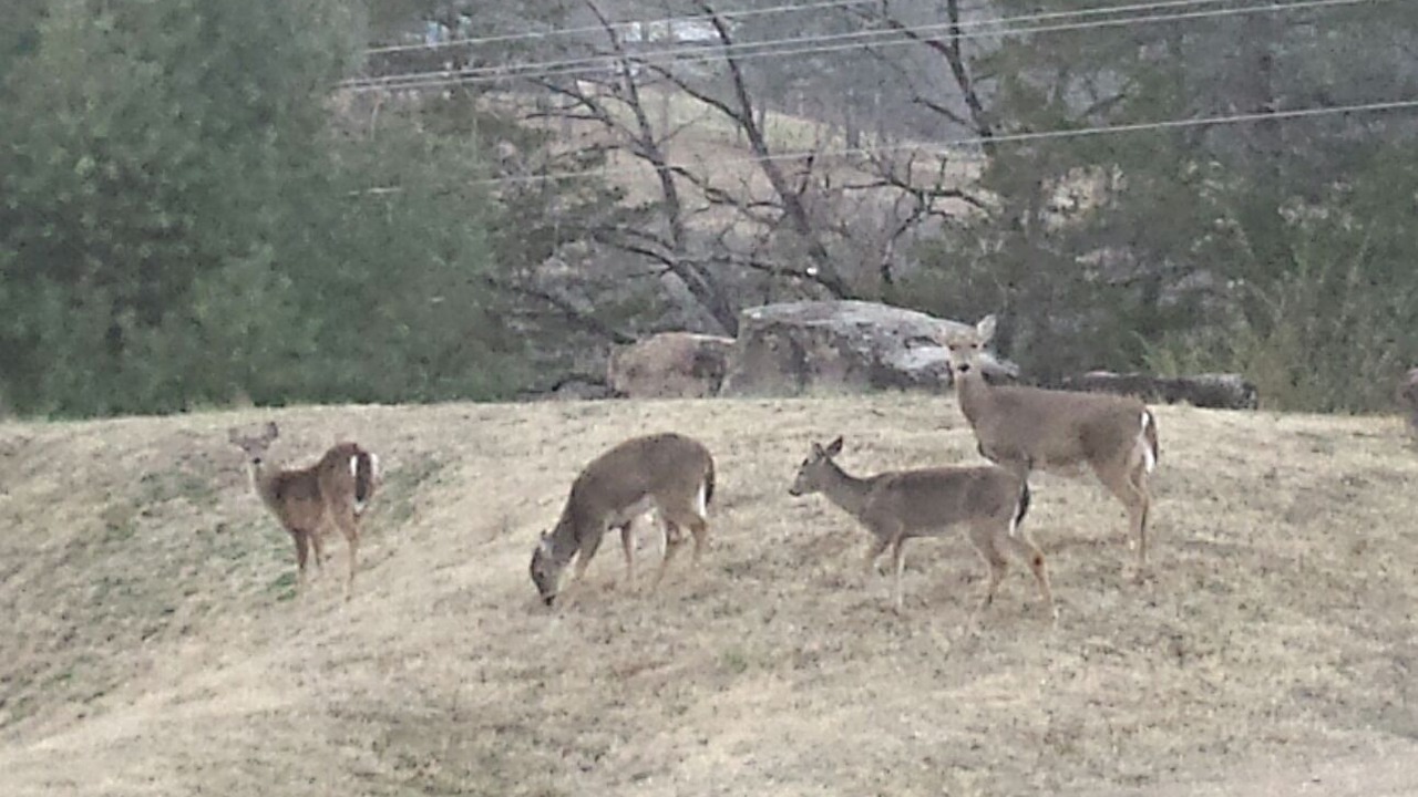 Photo of Others in Jasper