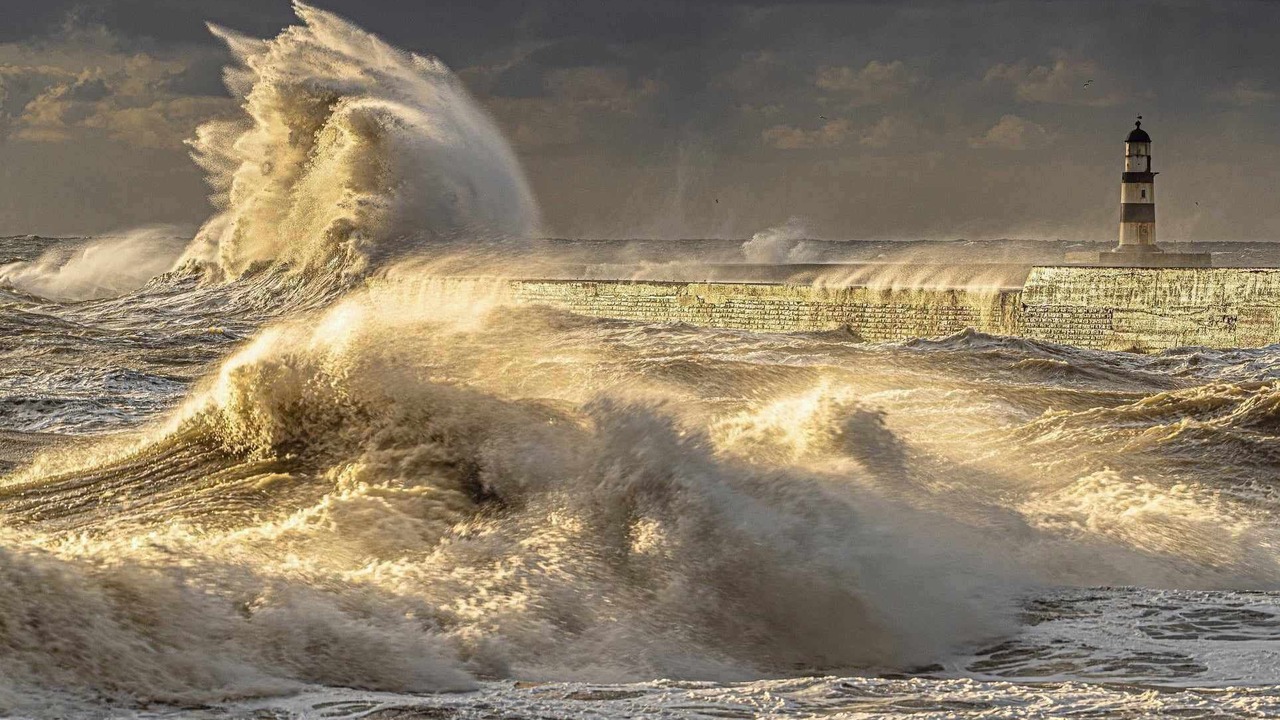 Photo of Others in Seaham