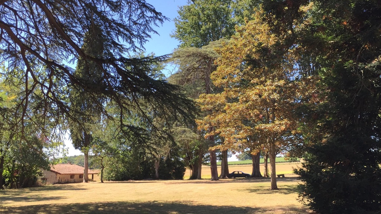 Photo of Outdoor in Lannes