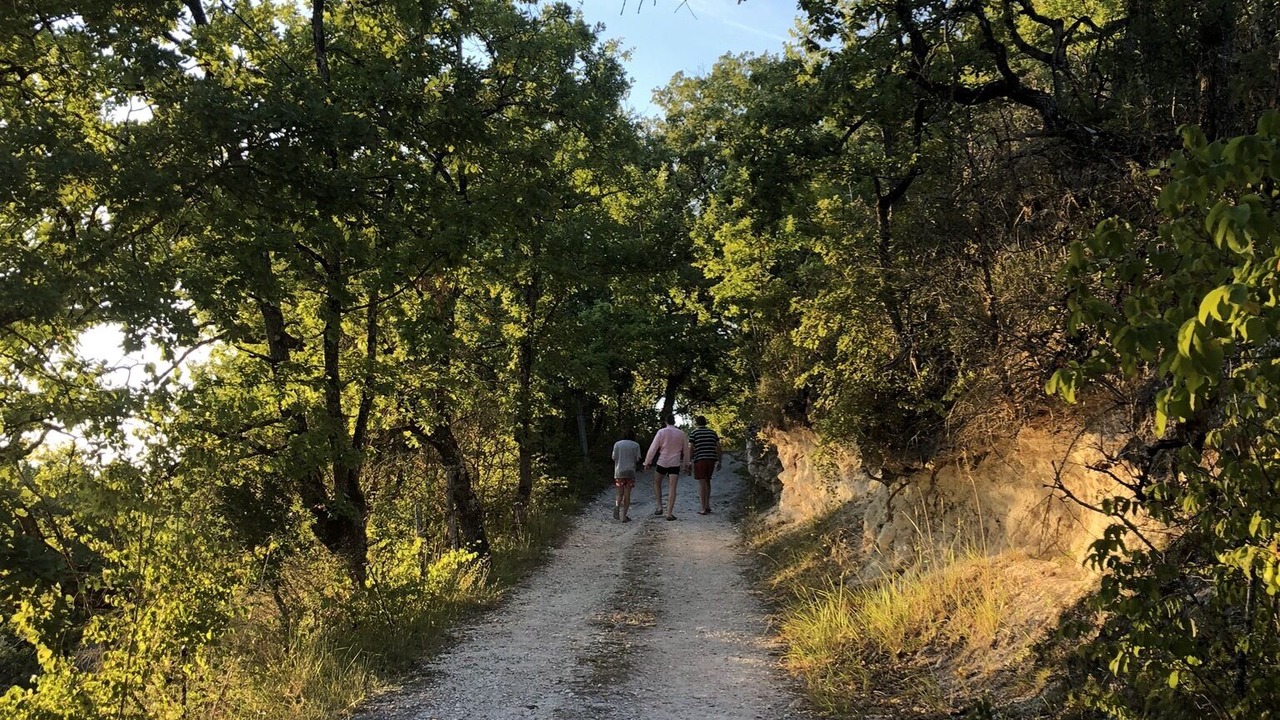 Photo of Others in Fauroux