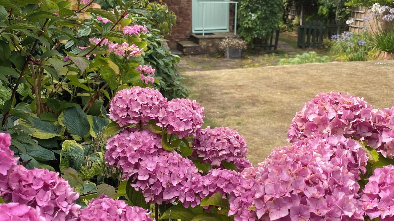 Photo of Outdoor in Bishops Lydeard