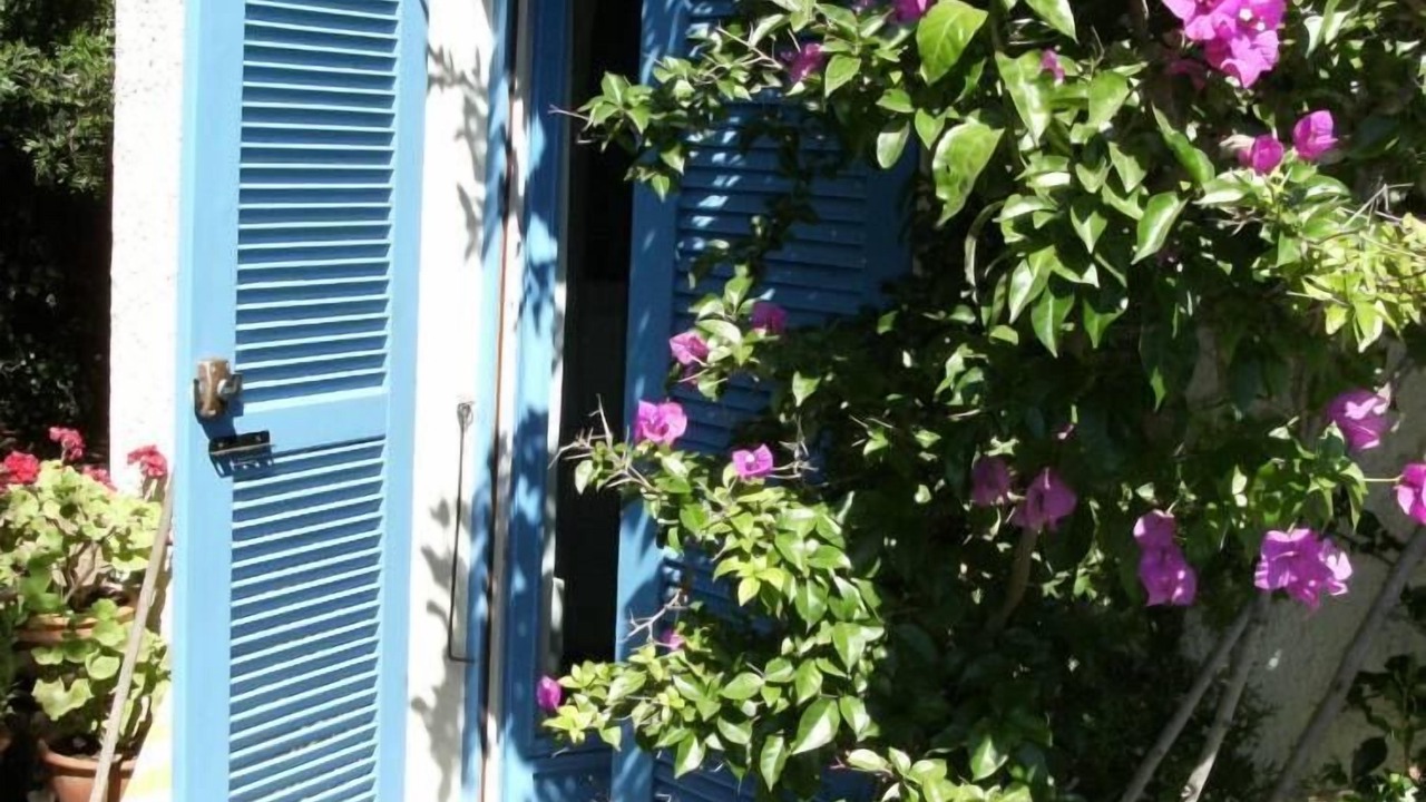 Photo of Outdoor in Canale-di-Verde