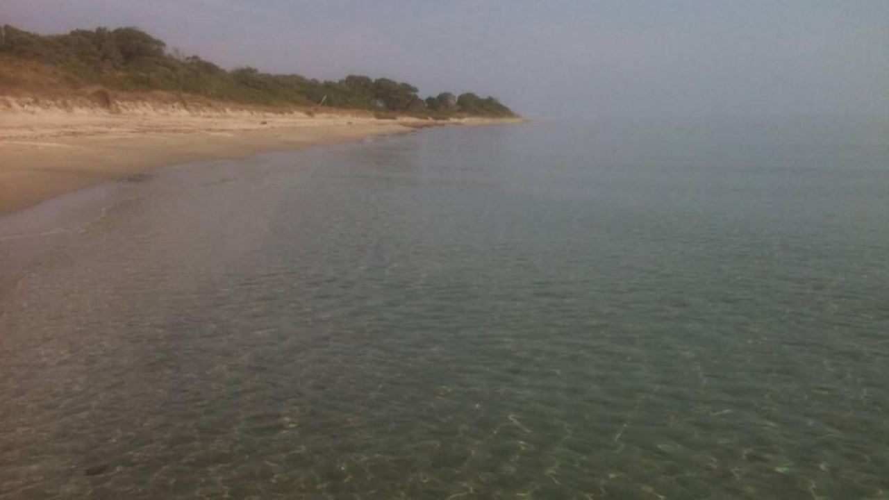 Photo of Others in Canale-di-Verde