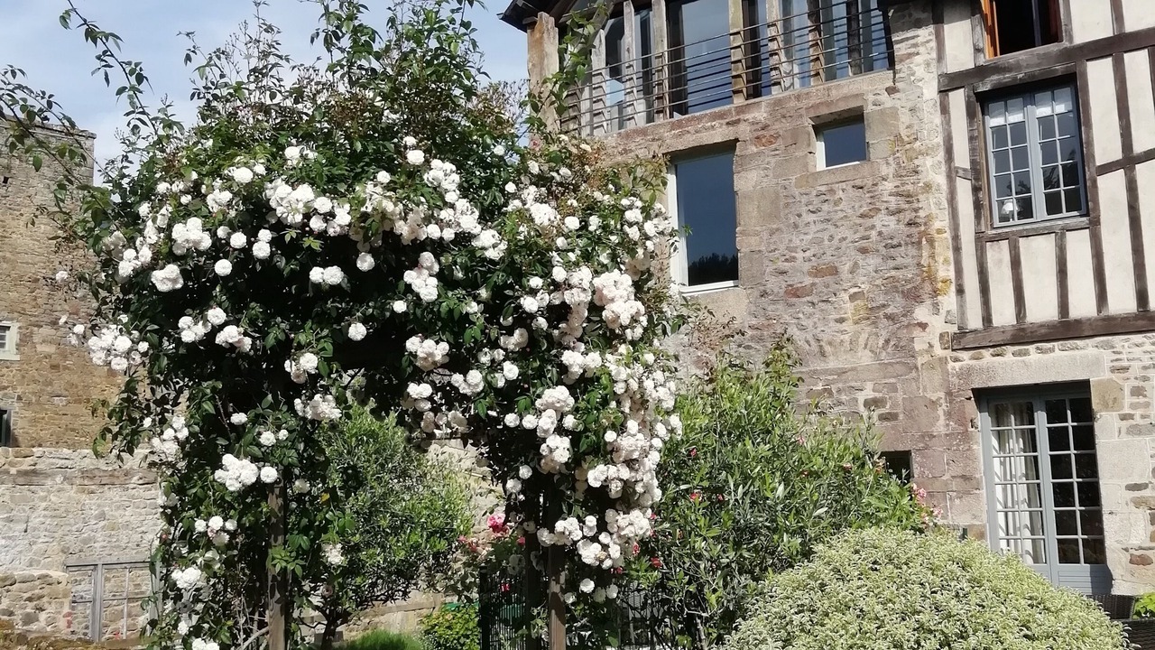 Photo of Outdoor in Lanvallay