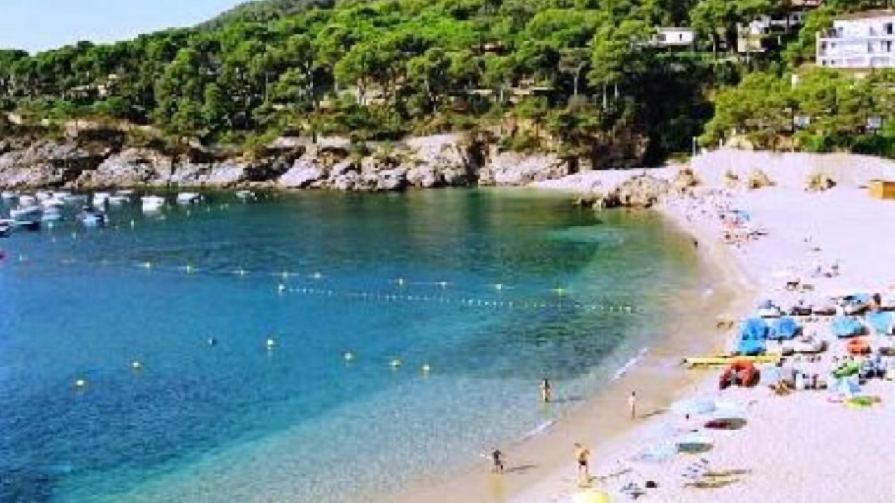 Photo of Others in Tamariu