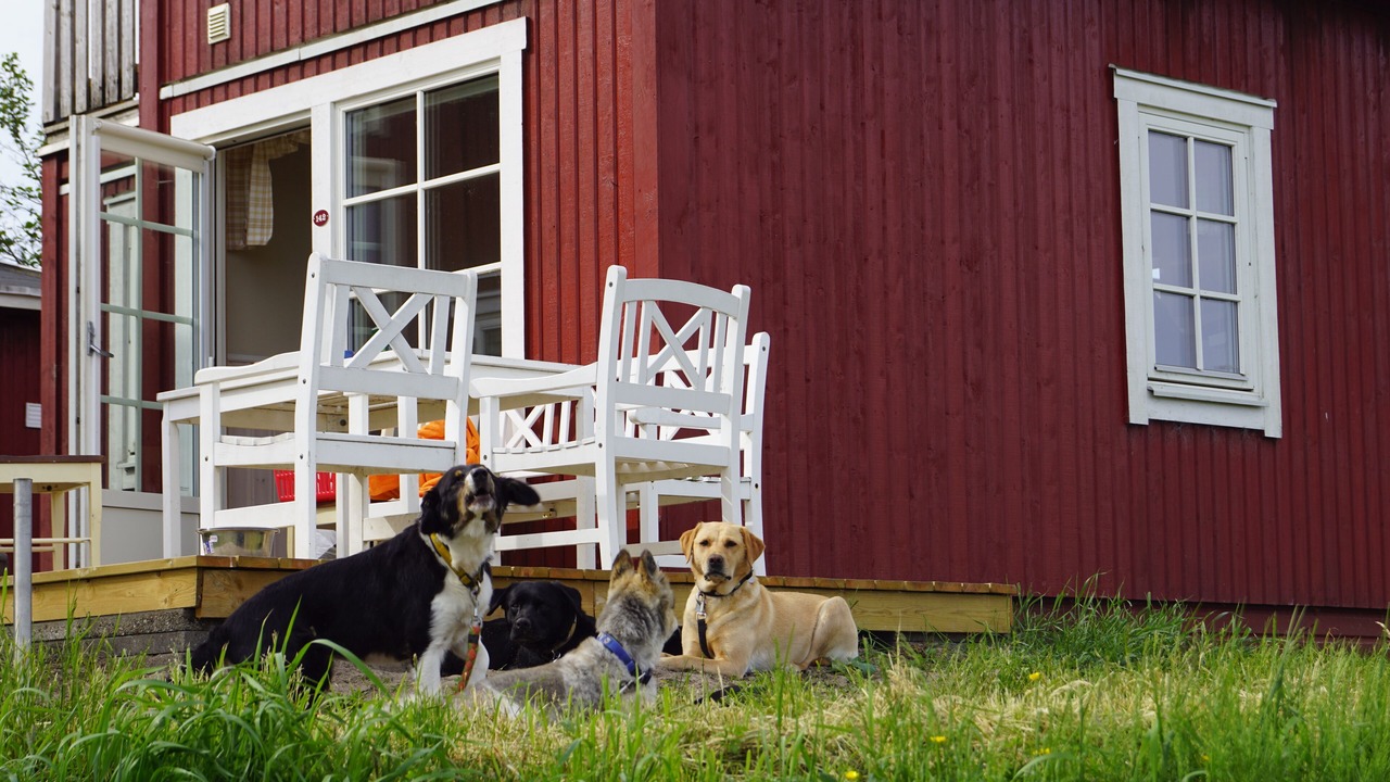 Photo of Outdoor in Sønderstrand