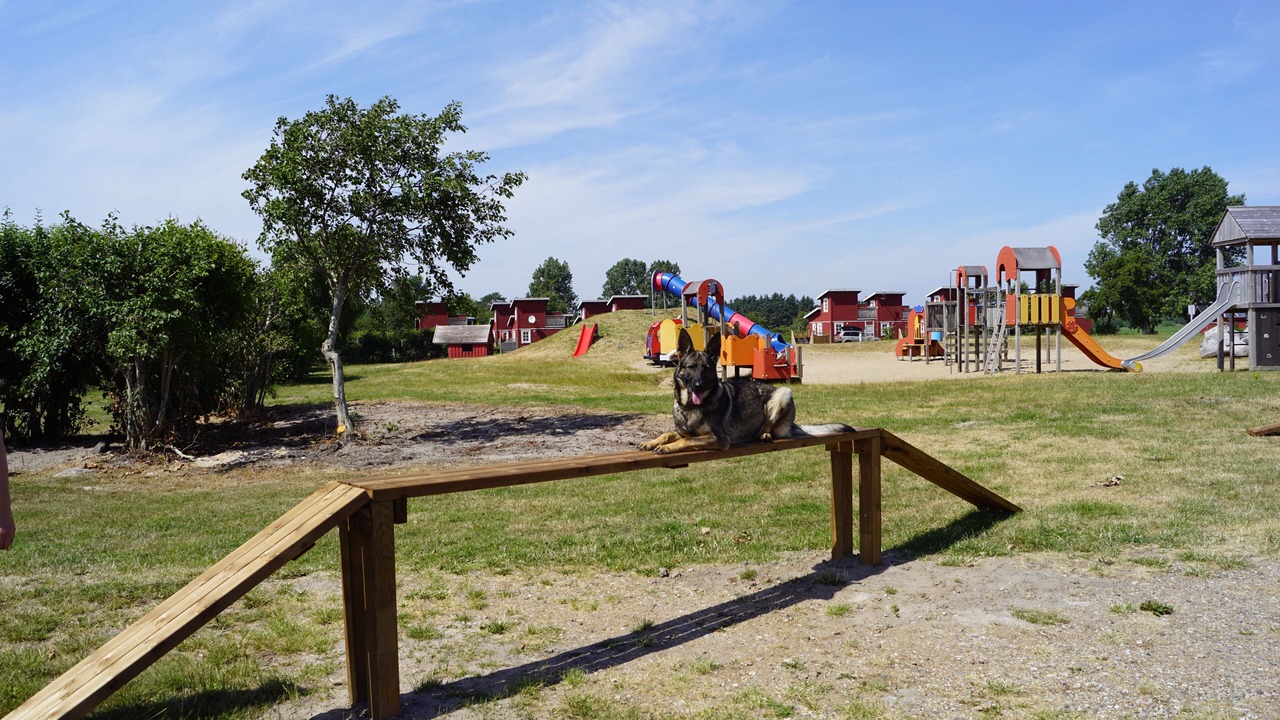 Photo of Outdoor in Sønderstrand