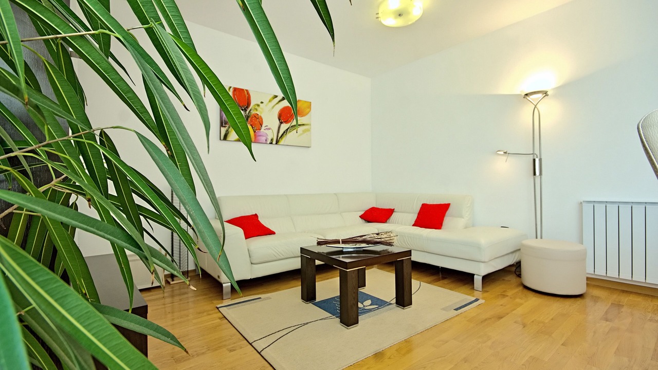 Photo of Livingroom in Sikici