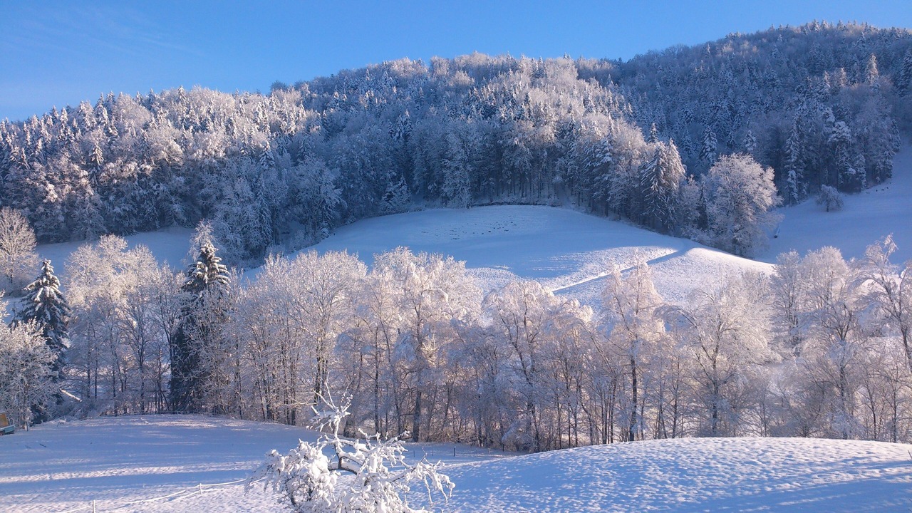Photo of Others in Baretswil