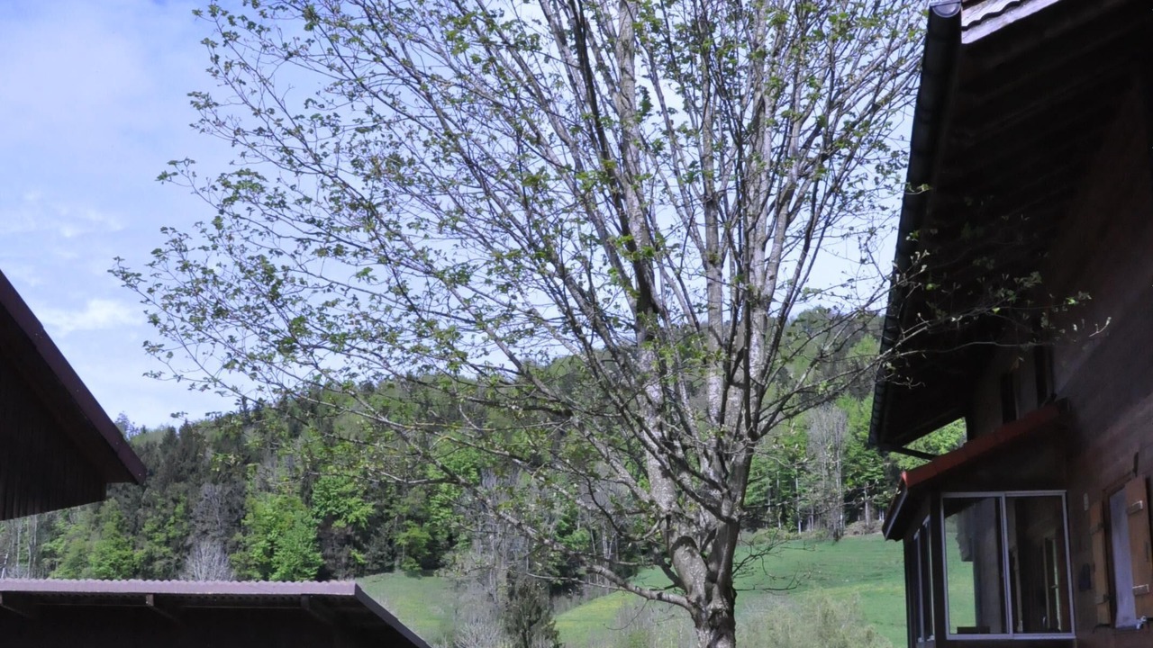 Photo of Outdoor in Baretswil