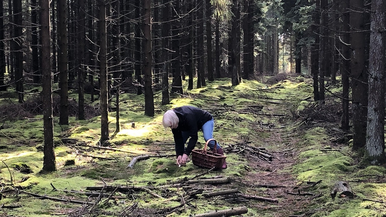 Photo of Outdoor in Mandoe