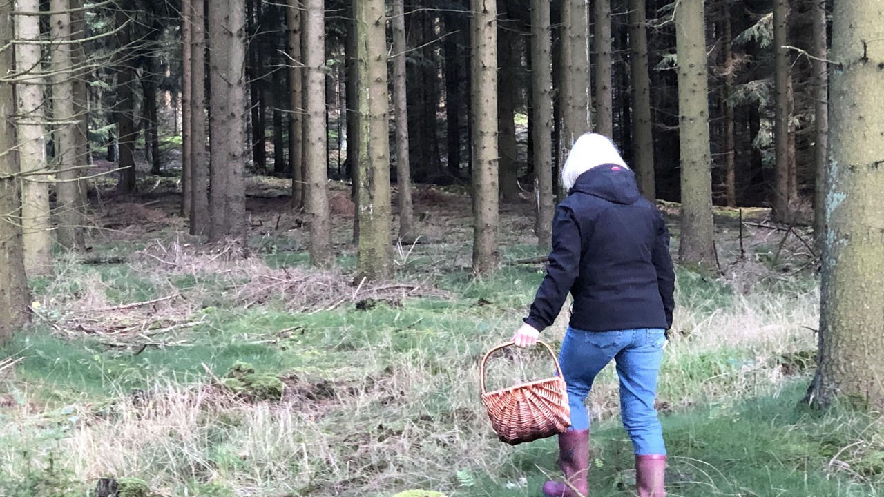 Photo of Outdoor in Mandoe