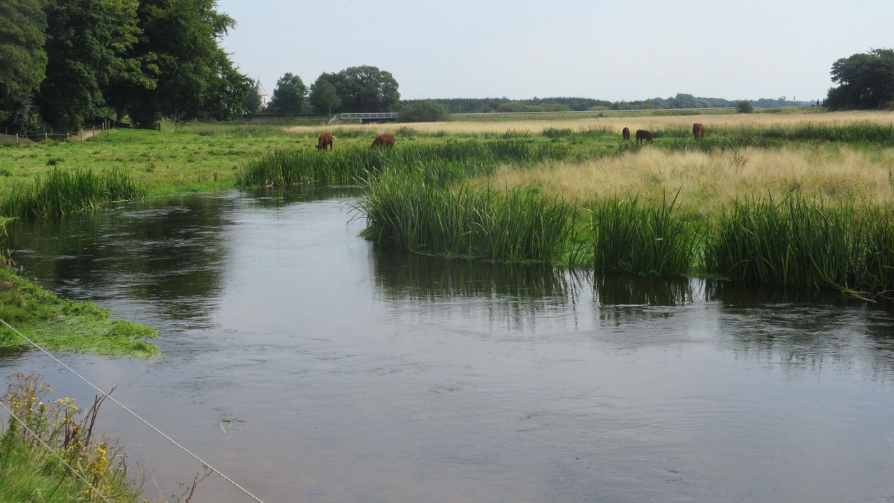 Photo of Outdoor in Mandoe