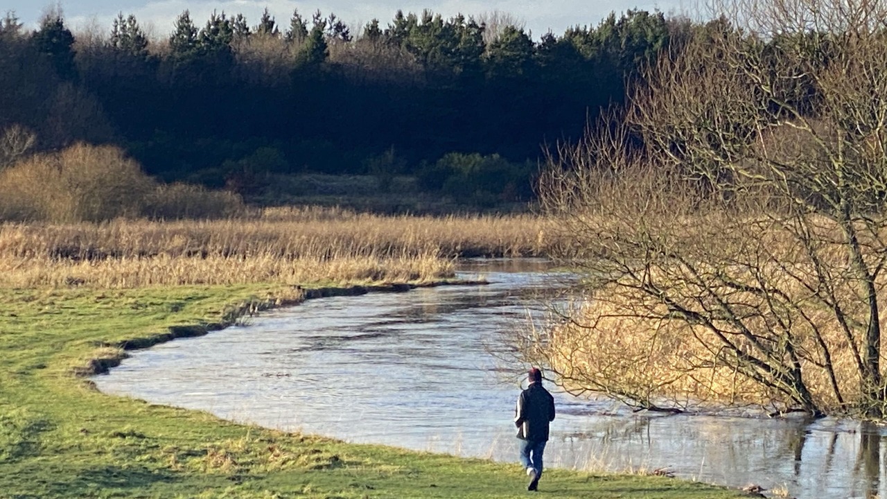 Photo of Others in Mandoe