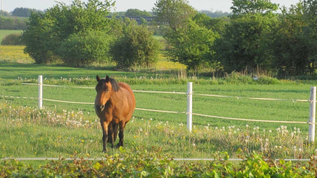 Photo of Others in Mandoe
