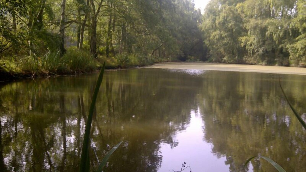 Photo of Outdoor in Pleurtuit