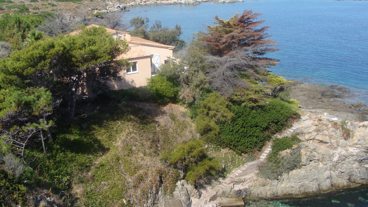 Photo of Others in Marine de Davia