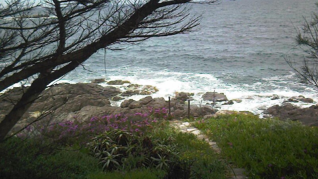 Photo of Others in Marine de Davia