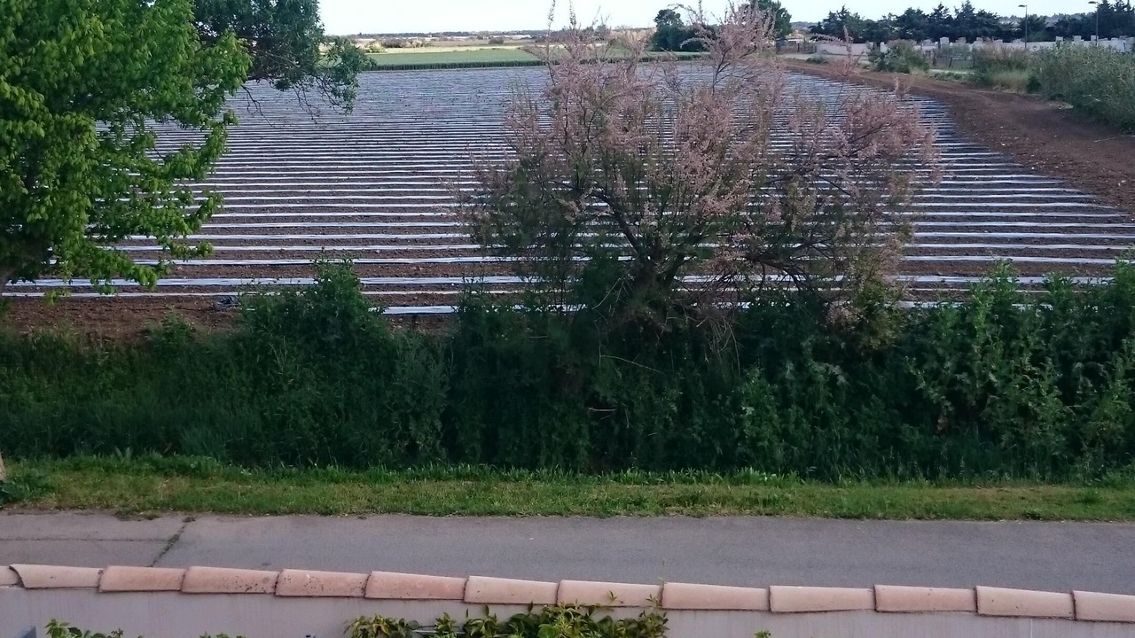 Photo of Others in Candillargues